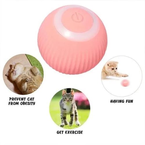 Self moving cat ball sales
