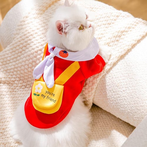 Buy cat clothes clearance