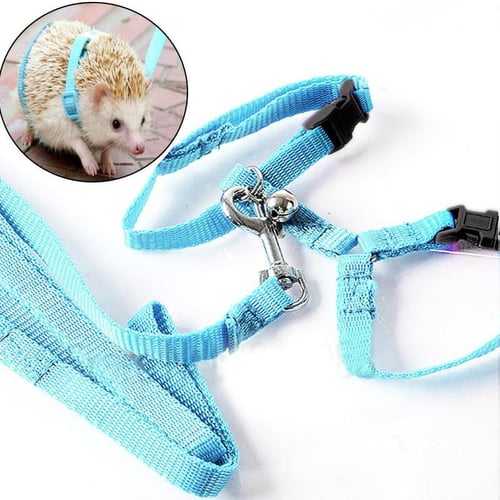 Hedgehog leash shop