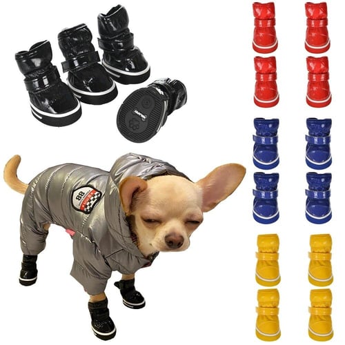 Chihuahua dog shoes hotsell