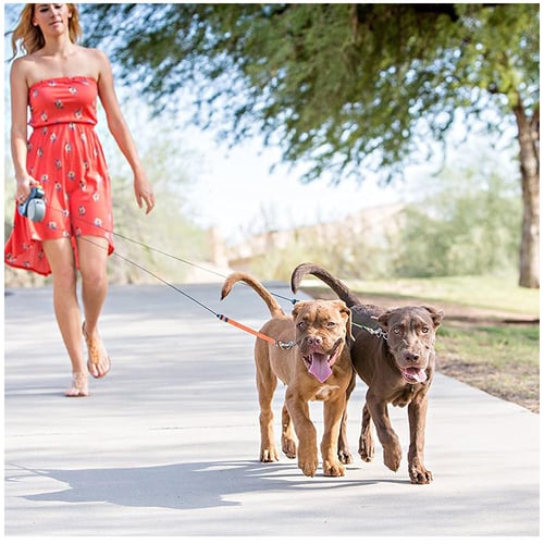 Pet supplies plus deals retractable leash