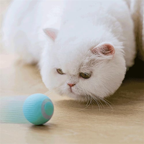 Automatic rolling sales ball cat
