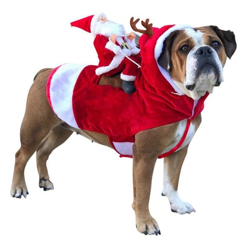 Large dog santa outfit online