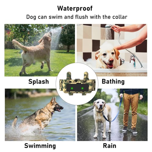 Ultrasonic dog collar with remote online