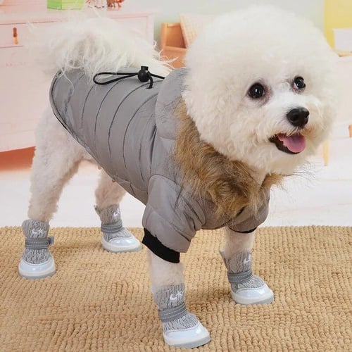 Winter coats for bichon frise on sale