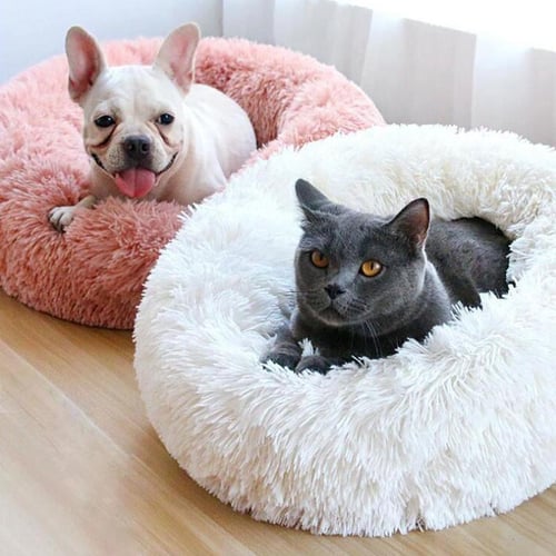 Amazingly cat marshmallow bed reviews outlet