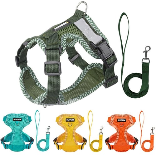 4 point dog harness outlet