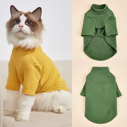 Pet shirts for top cats