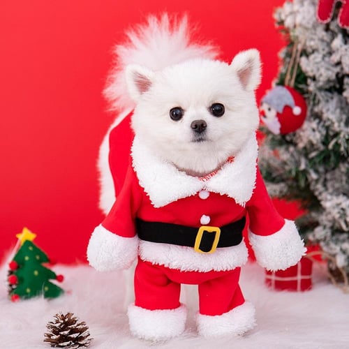 Funny dog christmas costumes clearance