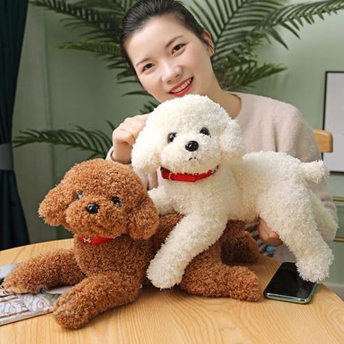 Doll like best sale dog