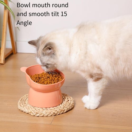 Anti spill 2024 cat bowl