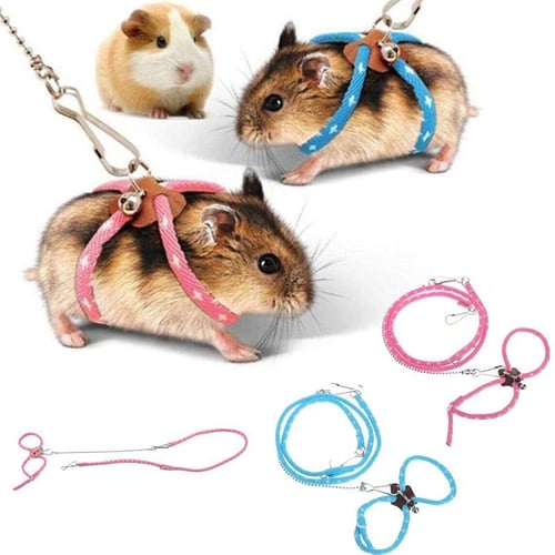 Hamster 2024 harness leash