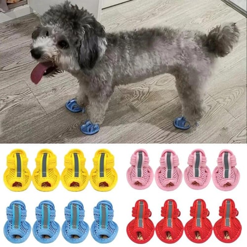 Yorkie sandals discount