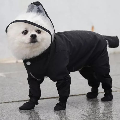 Pomeranian raincoat online