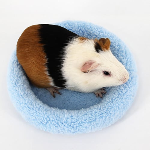 Guinea pig shop soft bed