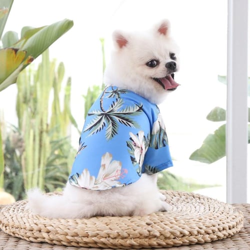 Dropship dog clothes cheap