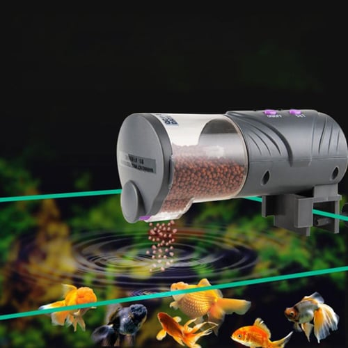 Goldfish hot sale auto feeder