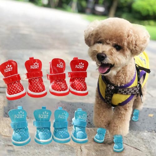 Buy dog shoes clearance