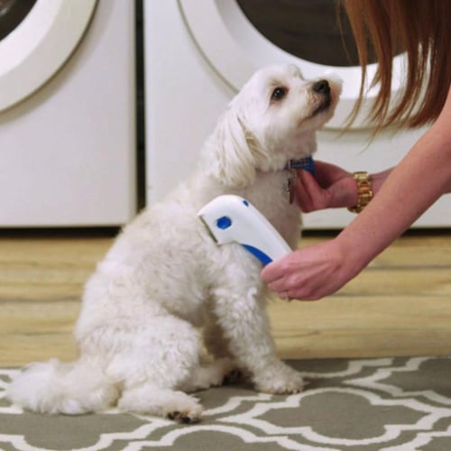 Electric pet flea sales comb