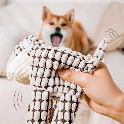 Dog outlet training squeaker