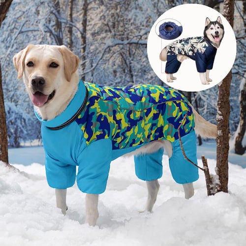 Labrador jacket shop