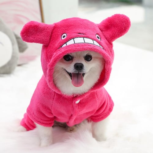 Outfits for small dogs clearance