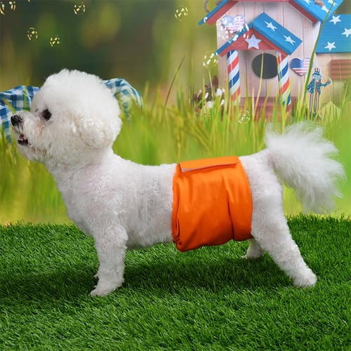 Pants for male dogs hotsell
