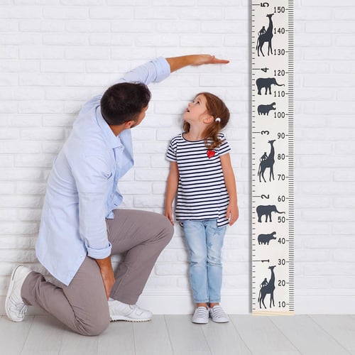 7.8 inches on hot sale a ruler