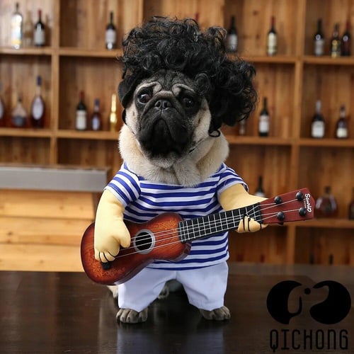 Cat guitar costume top