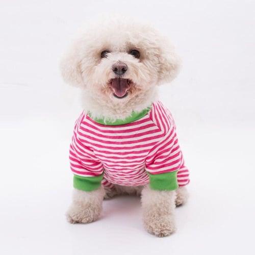 3 legged dog sweater top
