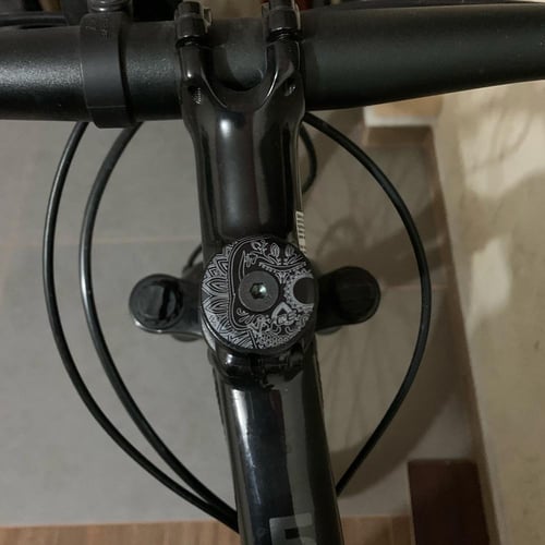 Bike cheap stem tube