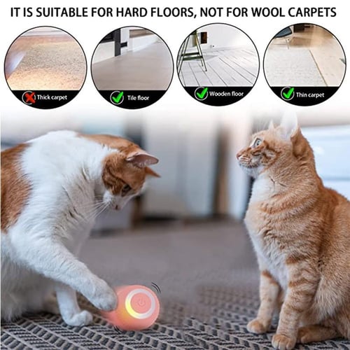 Moving deals kitten toy