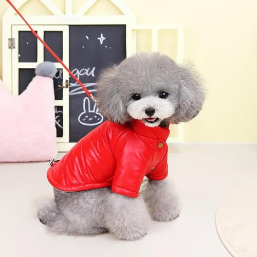 Chihuahua puppy accessories store