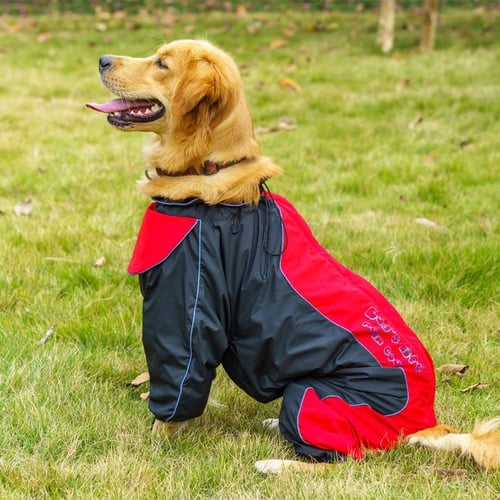 Dog raincoat labrador hotsell