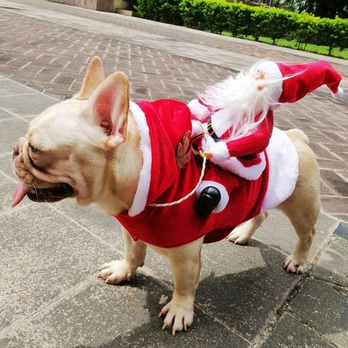 Large dog santa outfit discount