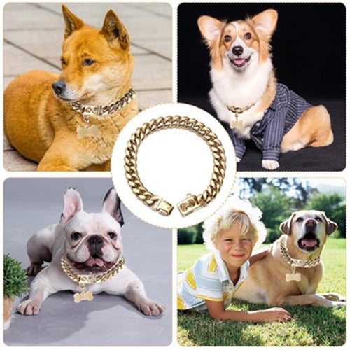 Unbreakable dog chain sales