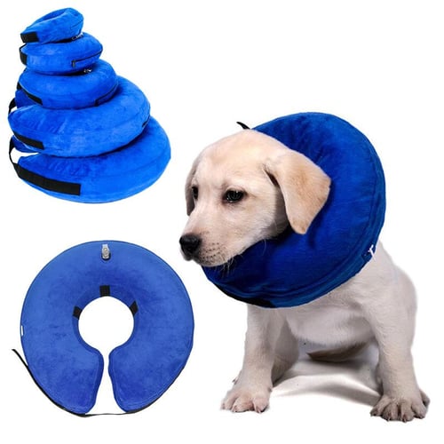 Dog protective head cone best sale