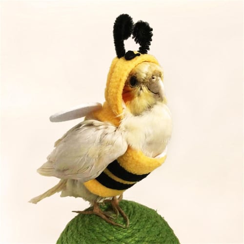 Clothes for parakeets cheap