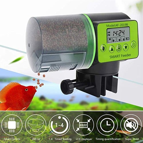 Digital automatic fish feeder online