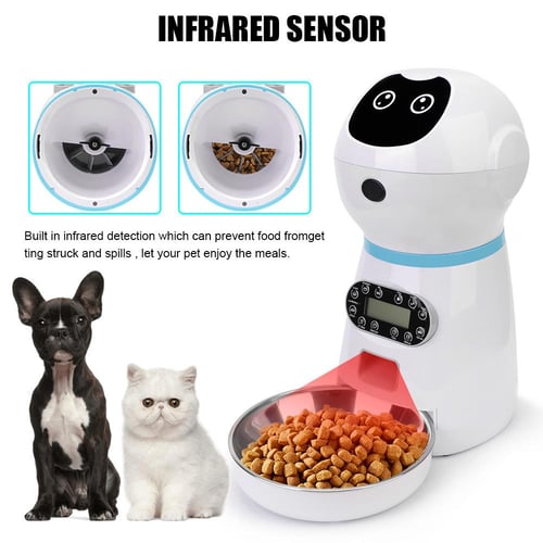Cat food dish deals with timer
