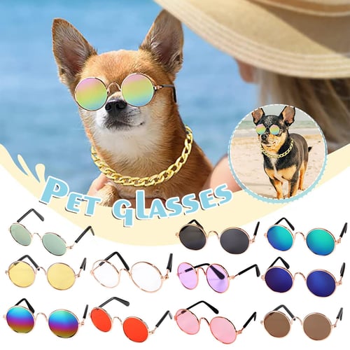 Buy pet top accessories