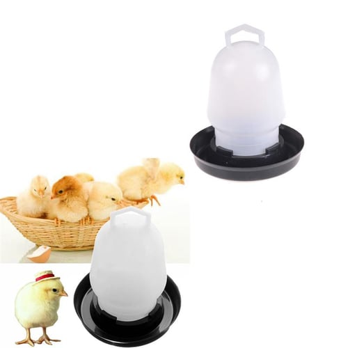 Automatic pheasant shop feeder