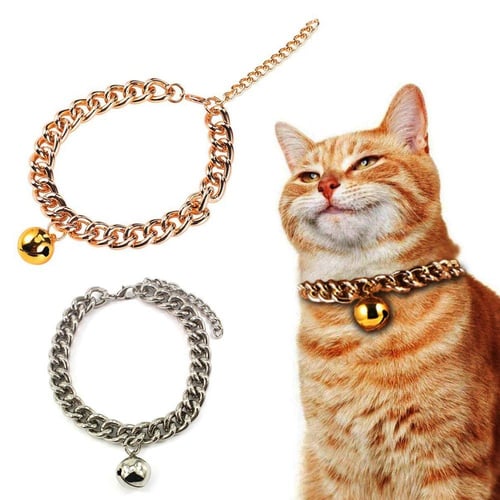 Gold chain collar for cat top