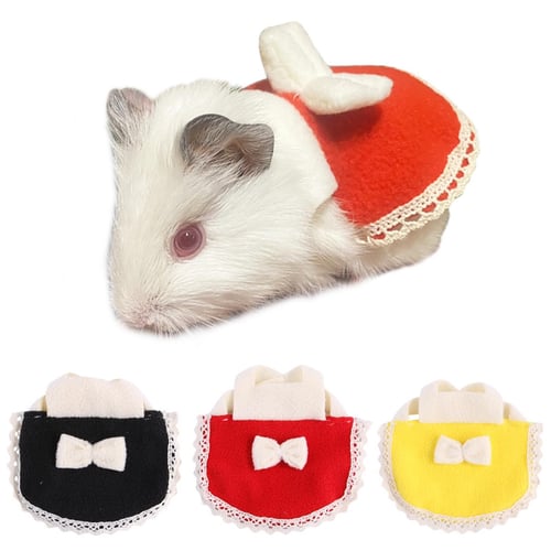 Sagit Hamster s Nice Little Animal Dresses In Fashion Ferret