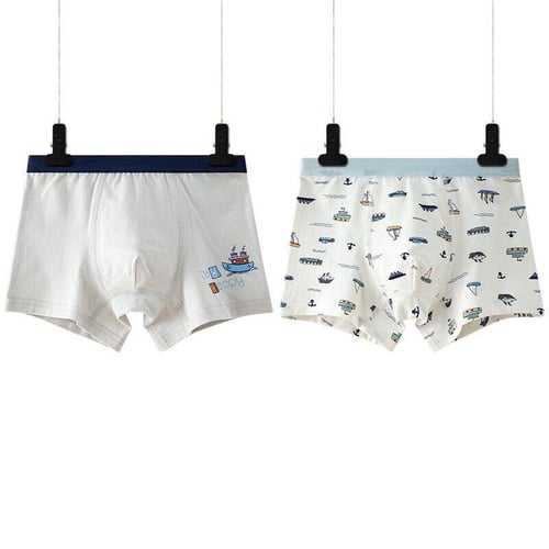 2Pcs Cotton Shorts Boys Underwear Kids Underwear Boxer Briefs