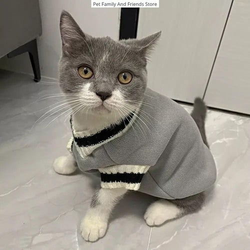 Kitten sweater best sale