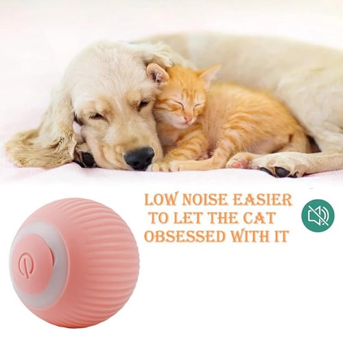 Moving dog ball toy discount