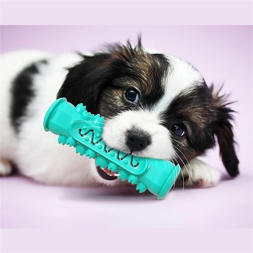 Dog chew toy that brushes teeth 2025