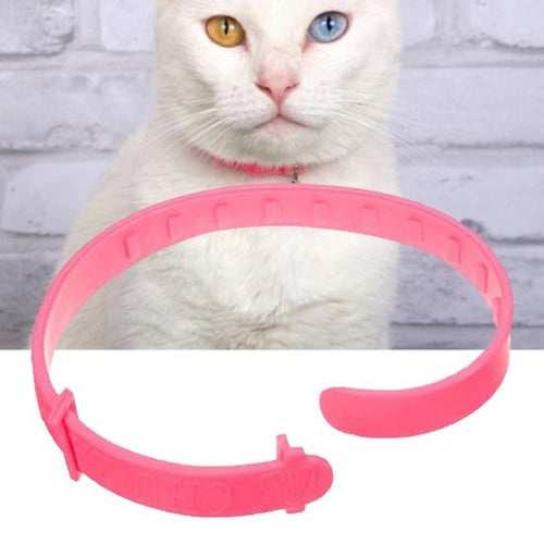 Cat neck ring new arrivals
