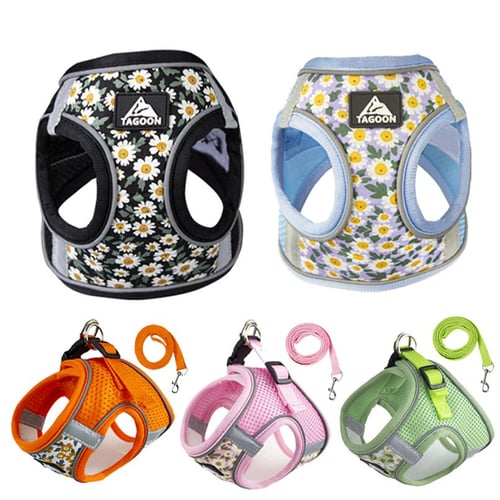 Chihuahua harness vest new arrivals